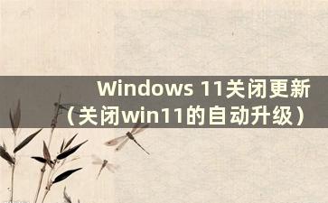 Windows 11关闭更新（关闭win11的自动升级）